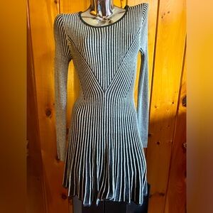 Express Sweater Dress